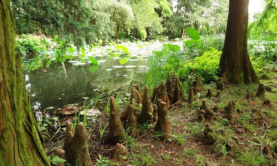 Szeged Botanic Garden