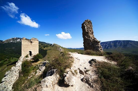 Coltesti Castle Ruins