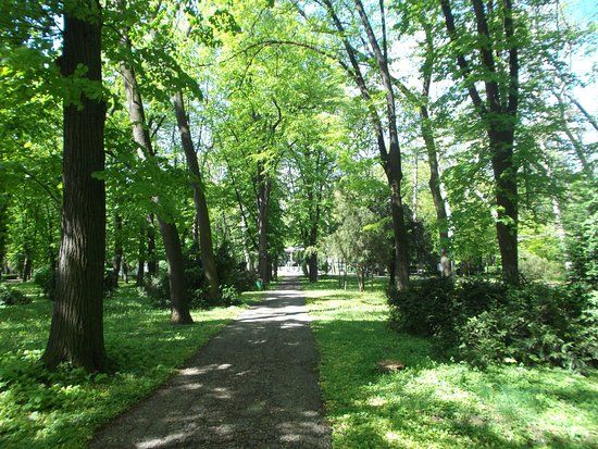 Parcul Central