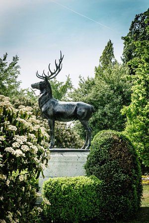 Stag Statue