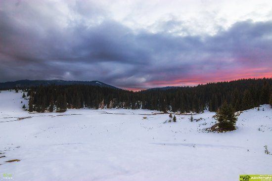 Ponor Meadow