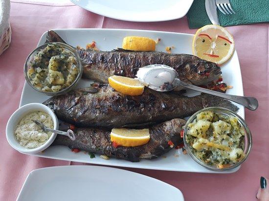 Kafana Porec