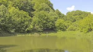 Popovicko jezero