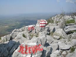 Jezevac