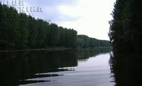 Arkanj