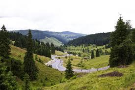 Pasul Mestecăniș