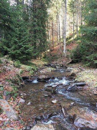 Cascada Varciorog