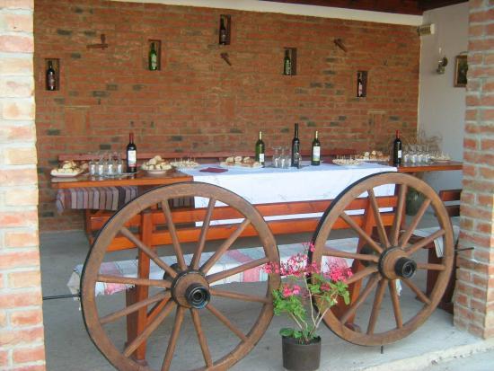 Vinogradi Urosevic