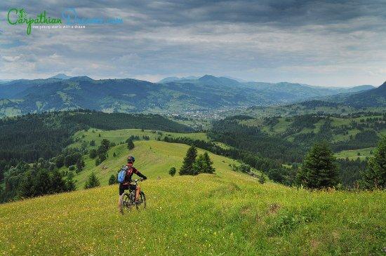Carpathian Dreams