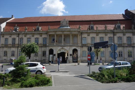 The Art Museum of Cluj-Napoca