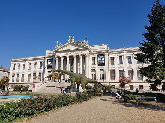 Mora Ferenc Museum