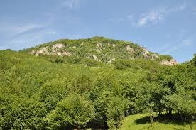 Cetatea dacică Piatra Roșie