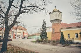 Kutmuzeum