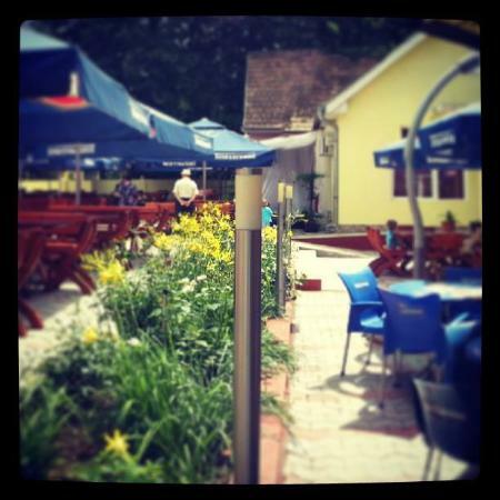 Terasa Parc Aiud